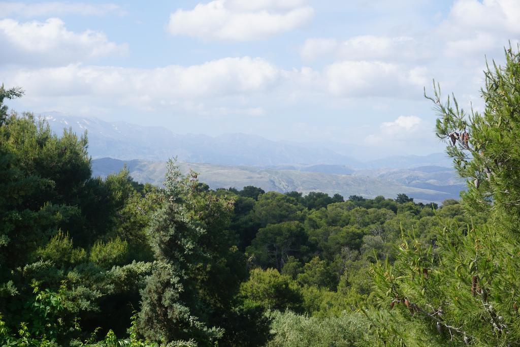 Monte Vardia Ханья Номер фото